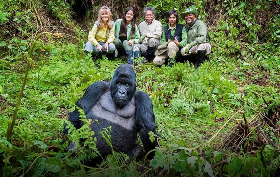 4 Day Gorilla Trekking in Bwindi from Kigali