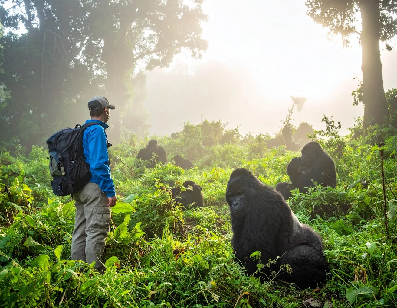 Rwanda and Uganda Gorilla Safari 12 days