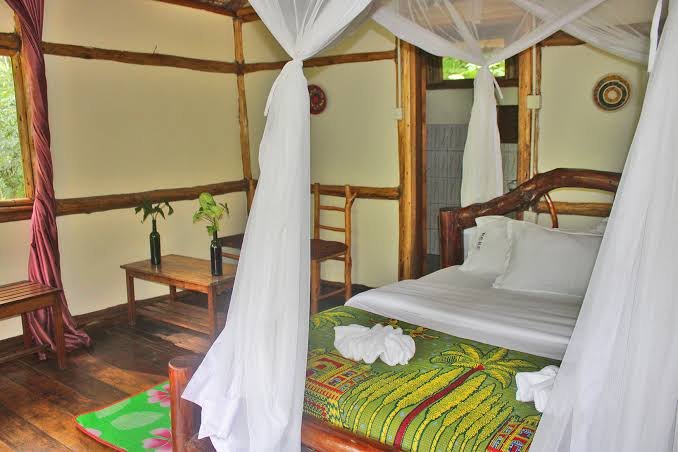 Budget Lodges in Bwindi Impenetrable Forest National Park