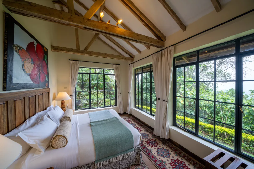 Best Luxury Lodges in Bwindi Impenetrable National Park