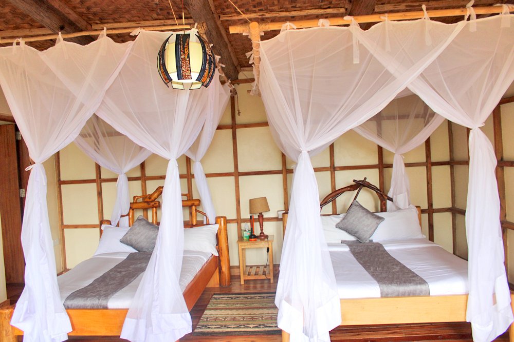 Budget Lodges in Bwindi Impenetrable Forest National Park