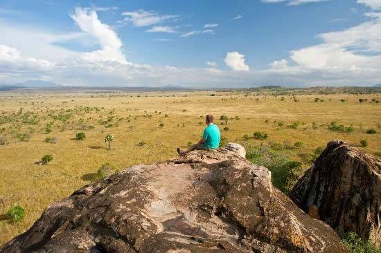 Game Drive Safari in Uganda