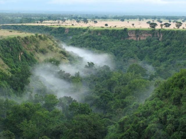 Chimpanzee Trekking Safari in Uganda