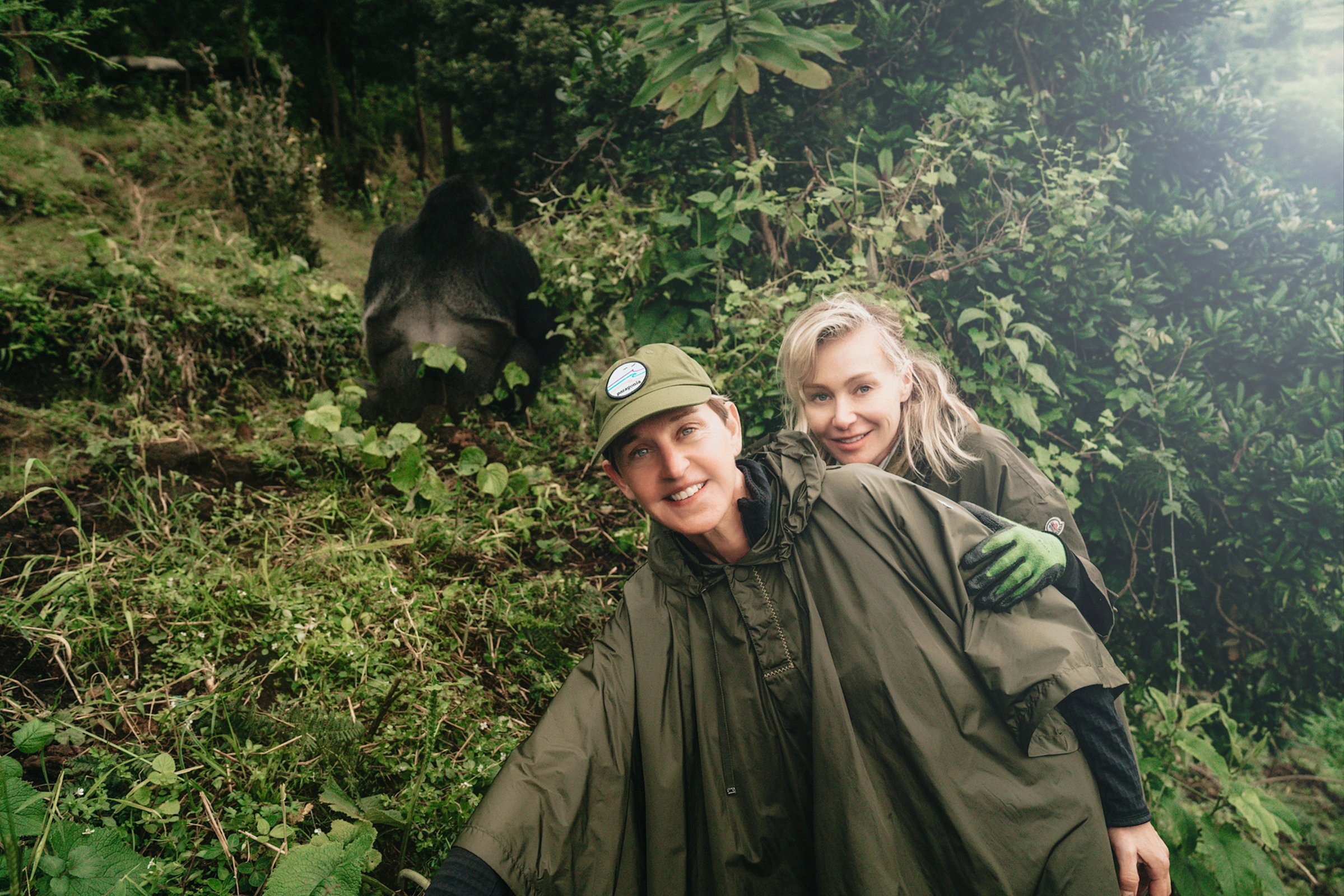 Luxury Gorilla Trekking from Entebbe