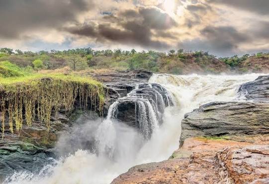 Game Drive Safari in Uganda