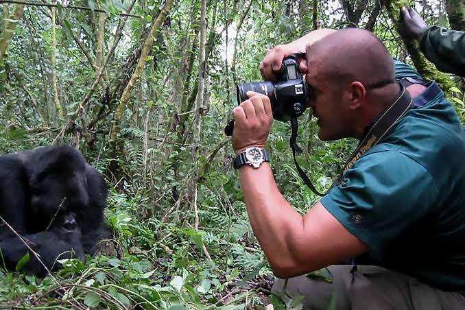Gorilla Trekking for Photographers in Uganda