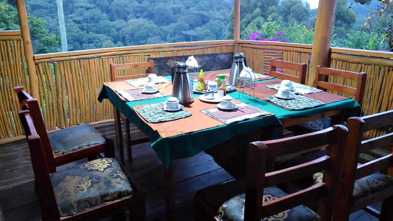 Budget Lodges in Bwindi Impenetrable Forest National Park