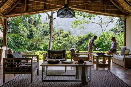 Best Luxury Lodges in Bwindi Impenetrable National Park
