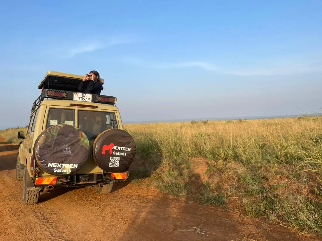 Gorilla Trekking in Uganda and Wildlife Safari
