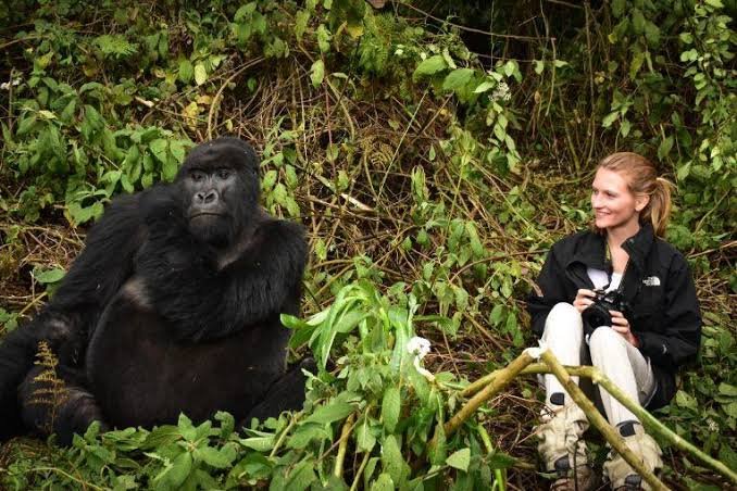 Solo Gorilla Trekking for Women