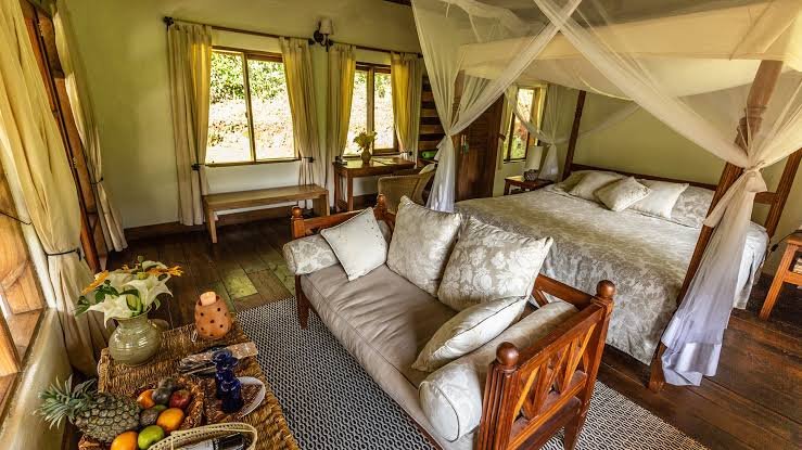 Volcanoes Bwindi Lodge