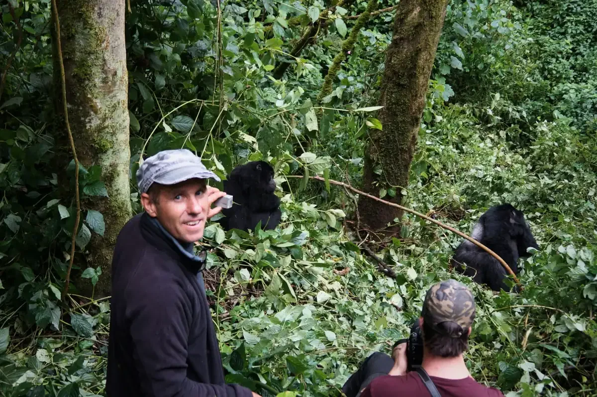 Gorilla trekking in Bwindi Impenetrable National Park Uganda