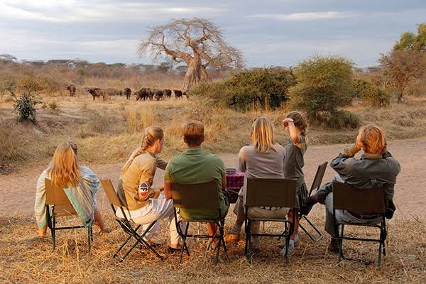Uganda Family Gorilla Safari experience