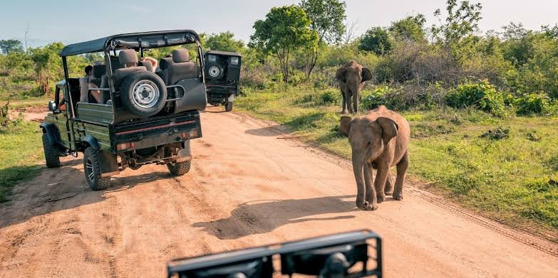 safari activities in Uganda