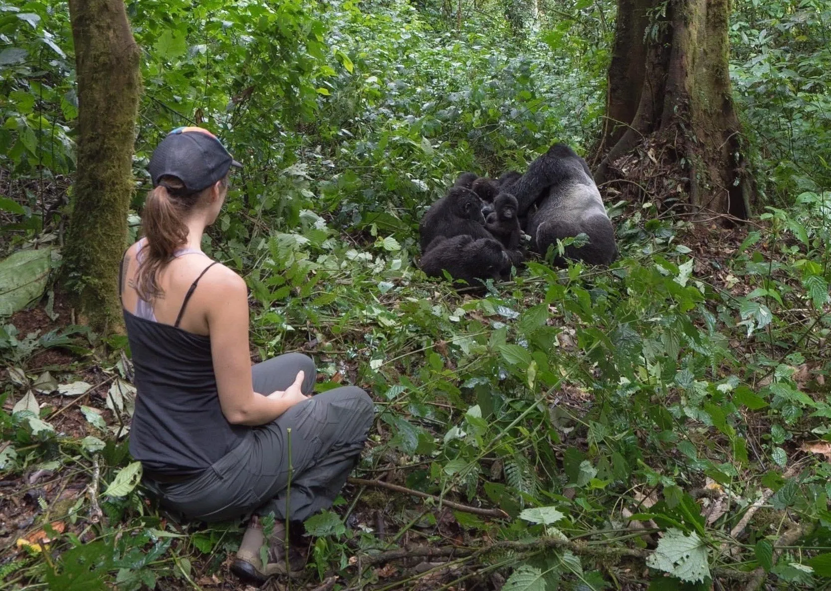 3 Day Gorilla Trekking in Bwindi Safari