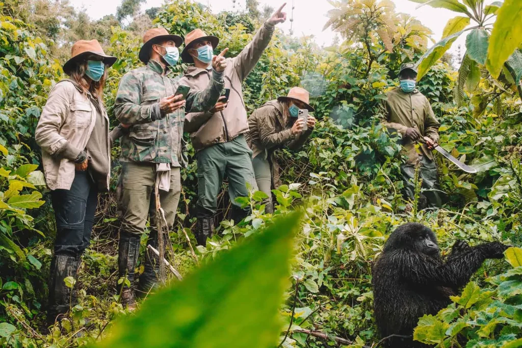 4 Day Small Group Bwindi Gorilla Trekking Tour