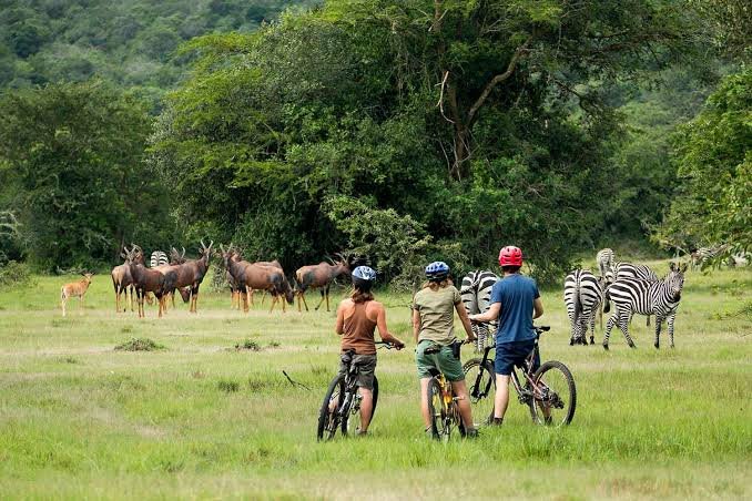 Lake Mburo National Park family safari experience in Uganda