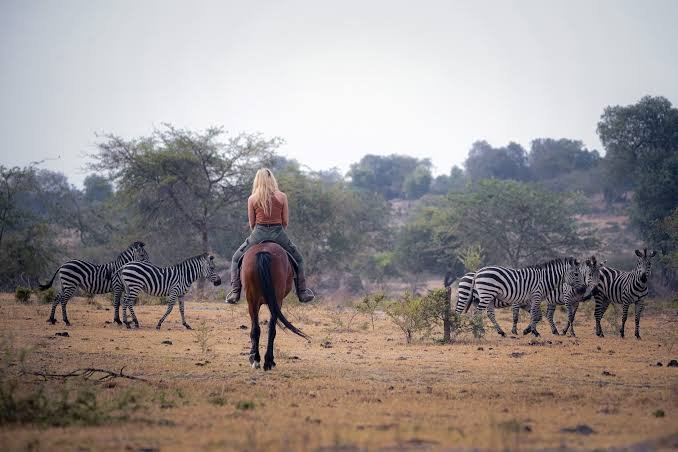 Entebbe to Ruhija Gorilla Trekking via Lake Mburo