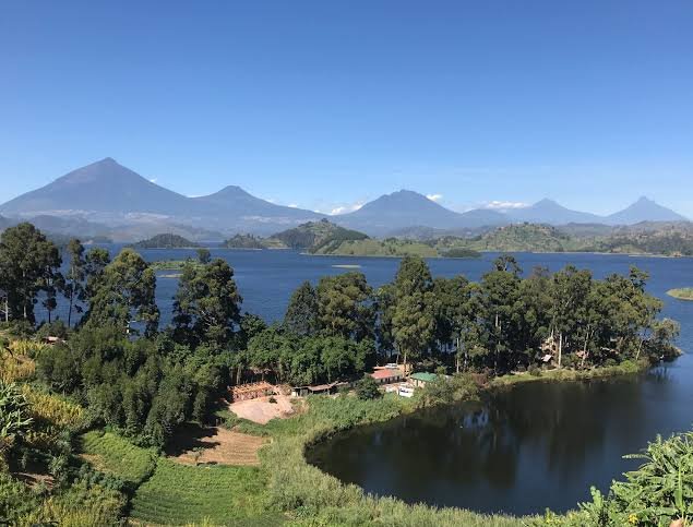 Gorilla Trekking from Entebbe to Mgahinga and Lake Mutanda