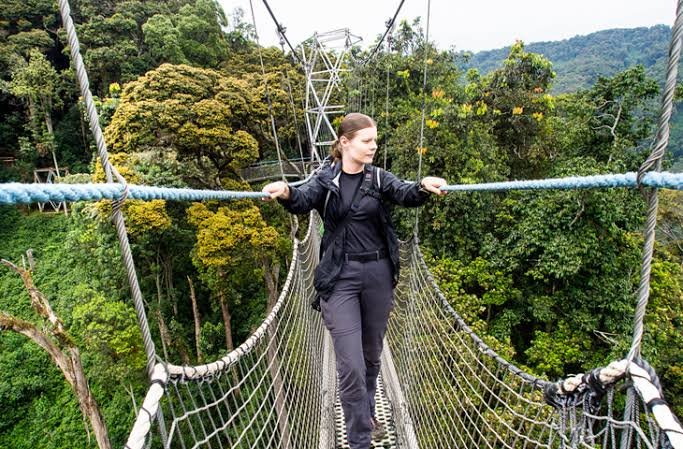 Rwanda and Uganda Gorilla Safari Nyungwe Forest experience