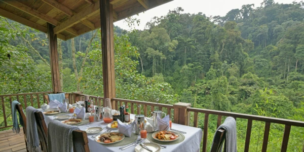 Four Gorillas Lodge Room Uganda