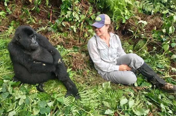Bwindi Gorilla Habituation Experience in Uganda